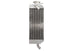 Radiator, racire motor 4 RIDE TRS-R-018L(C) 