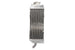 Radiator, racire motor 4 RIDE TRS-R-018L(C) 