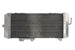 Radiator, racire motor 4 RIDE TRS-R-025L 