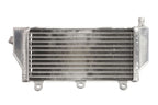 Radiator, racire motor 4 RIDE TRS-R-058L 