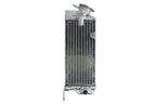 Radiator, racire motor 4 RIDE TRS-R-123 