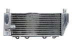 Radiator, racire motor 4 RIDE TRS-R-125L 