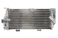 Radiator, racire motor 4 RIDE TRS-R-135L 