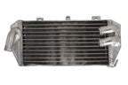 Radiator, racire motor 4 RIDE TRS-R-154L 