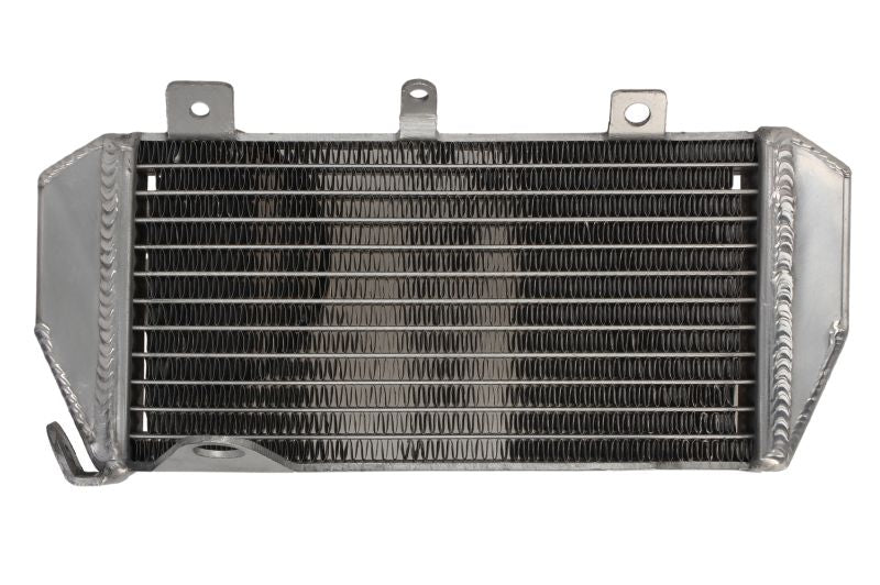 Radiator, racire motor 4 RIDE TRS-R-154L 