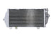 Radiator, racire motor 4 RIDE TRS-R-173L 