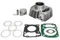 Cilindru motor IP000686 INPARTS