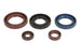 Set garnituri pentru motor ATHENA P400089400001 