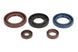 Set garnituri pentru motor ATHENA P400089400001 