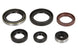 Set garnituri pentru motor ATHENA P400270400077 