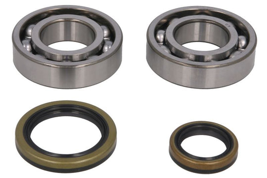 Kit de reparație pentru arbore cotit BETA EVO 250/300 2009-2021