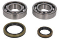 Kit de reparație pentru arbore cotit BETA EVO 250/300 2009-2021