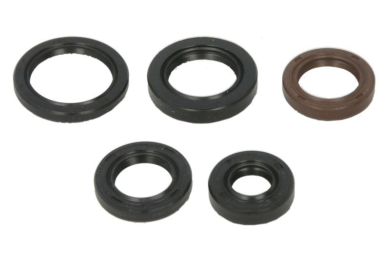 Set garnituri pentru motor WINDEROSA 822394 