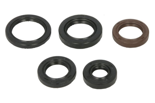 Set garnituri pentru motor WINDEROSA 822394