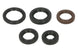 Set garnituri pentru motor WINDEROSA 822394 