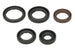 Set garnituri pentru motor WINDEROSA 822394 