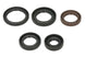 Set garnituri pentru motor WINDEROSA 822394 