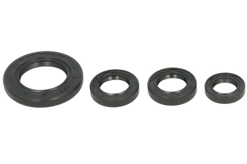 Set garnituri pentru motor WINDEROSA 822395 