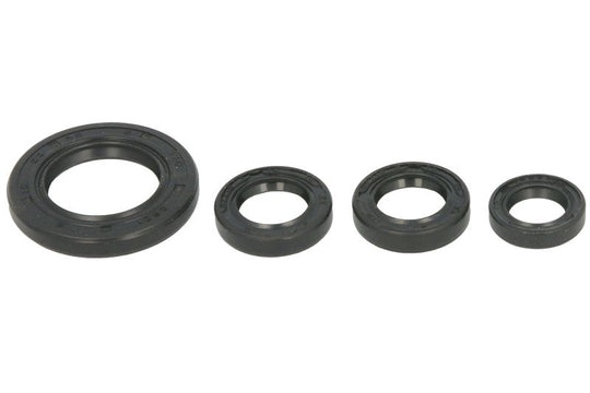 Set garnituri pentru motor WINDEROSA 822395 