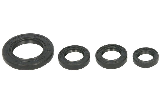 Set garnituri pentru motor WINDEROSA 822395 