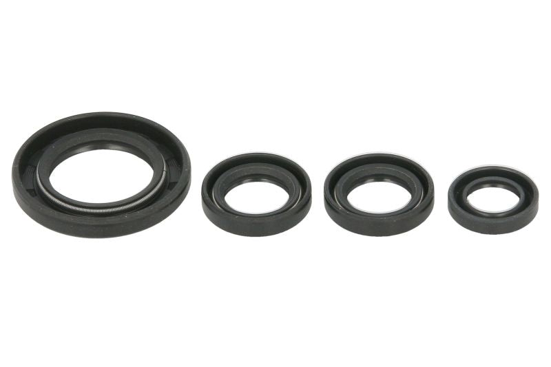 Set garnituri pentru motor WINDEROSA 822395 