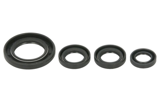 Set garnituri pentru motor WINDEROSA 822395 