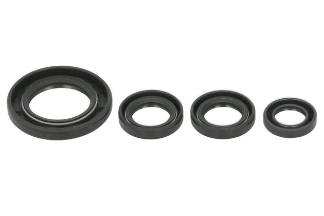 Set garnituri pentru motor WINDEROSA 822395 