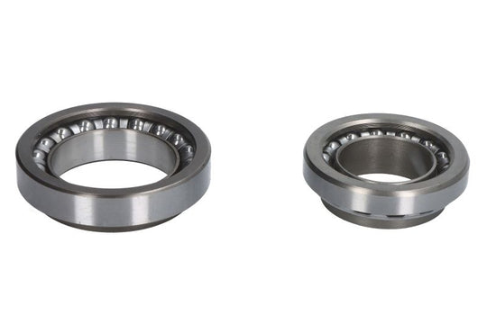 Kit rulmenți jug RMS 184220340