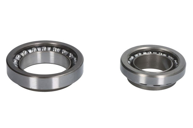 Kit rulmenți jug RMS 184220340