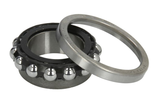 Kit rulmenți jug RMS 184220322