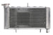 Radiator, racire motor 4 RIDE TRS-R-724 