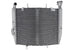 Radiator, racire motor 4 RIDE TRS-R-689 