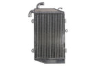 Radiator, racire motor 4 RIDE TRS-R-718 